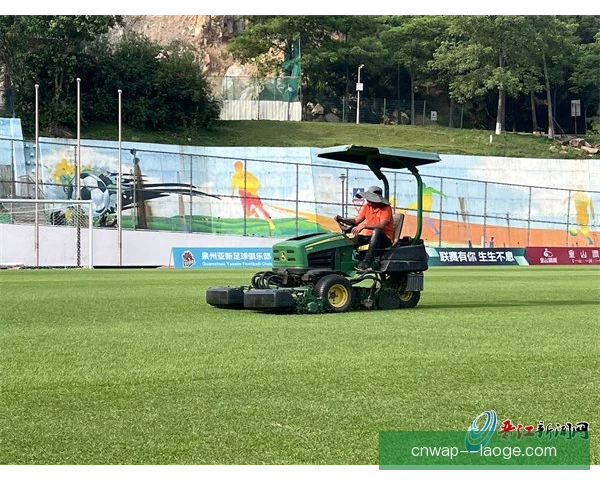 阿斯顿维拉主场草皮维护，比赛质量与球员安全并重