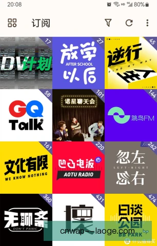 播客节目国内外对比，内容生态与商业模式差异明显