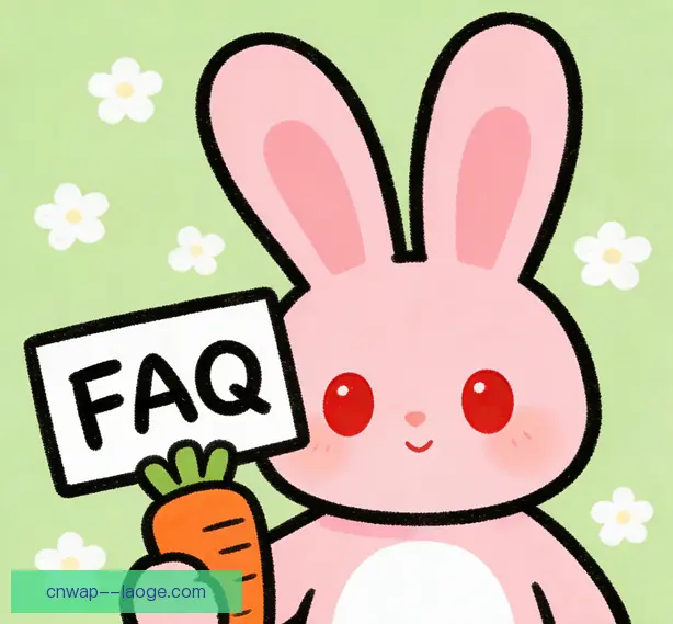 常见问题